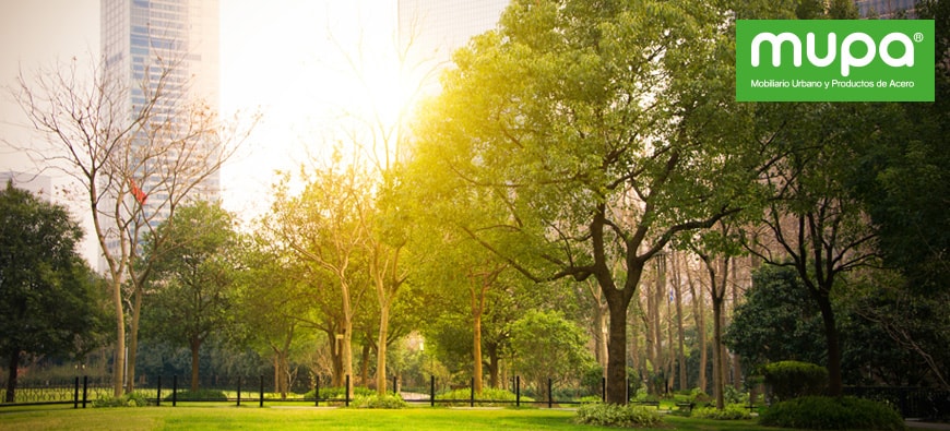 La importancia de las áreas verdes en ciudades sustentables