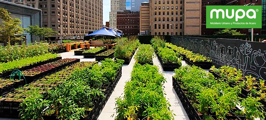 Huertos Urbanos: Una nueva alternativa de agricultura en la ciudad.