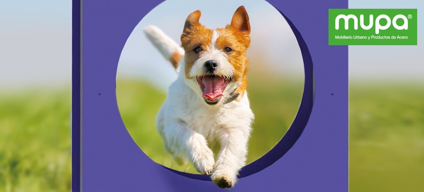 ¿Qué son los Circuitos Caninos Agility MUPA®?