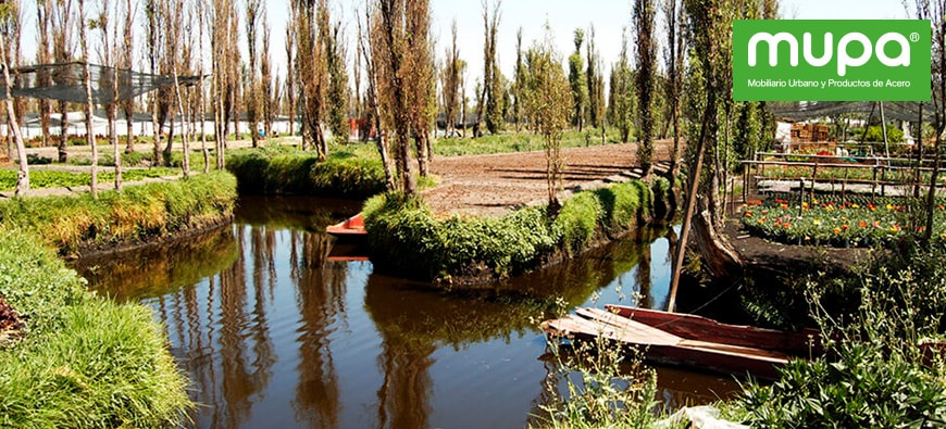 Importancia del rescate de chinampas en Xochimilco y Tláhuac