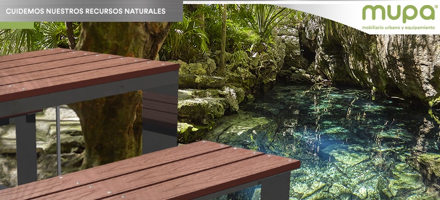 MUPA® comprometido con el cuidado de los Bosques y el Agua