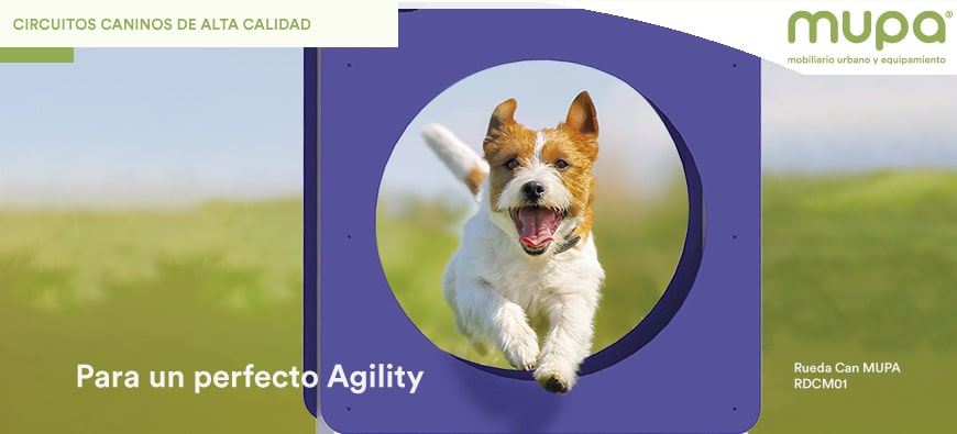 Circuitos Caninos de alta calidad para un perfecto Agility