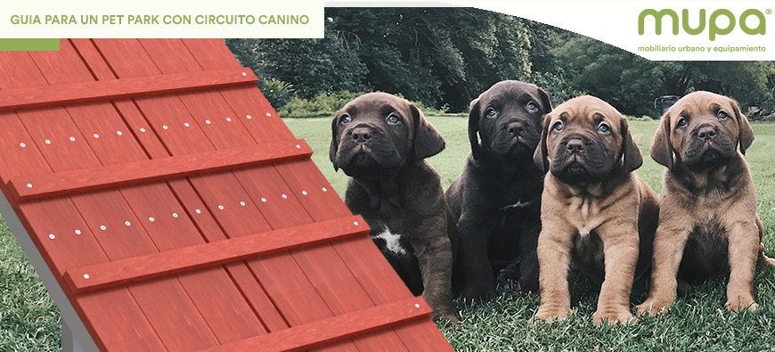 Guía para Desarrollar un Pet Park con Circuitos Caninos