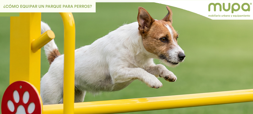 ¿Cómo equipar un parque para perros? Guía para crear espacios funcionales y seguros
